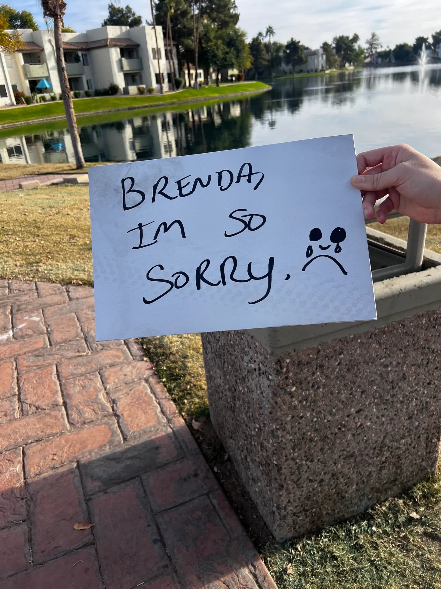 Is It Too Late Now to Say Sorry?